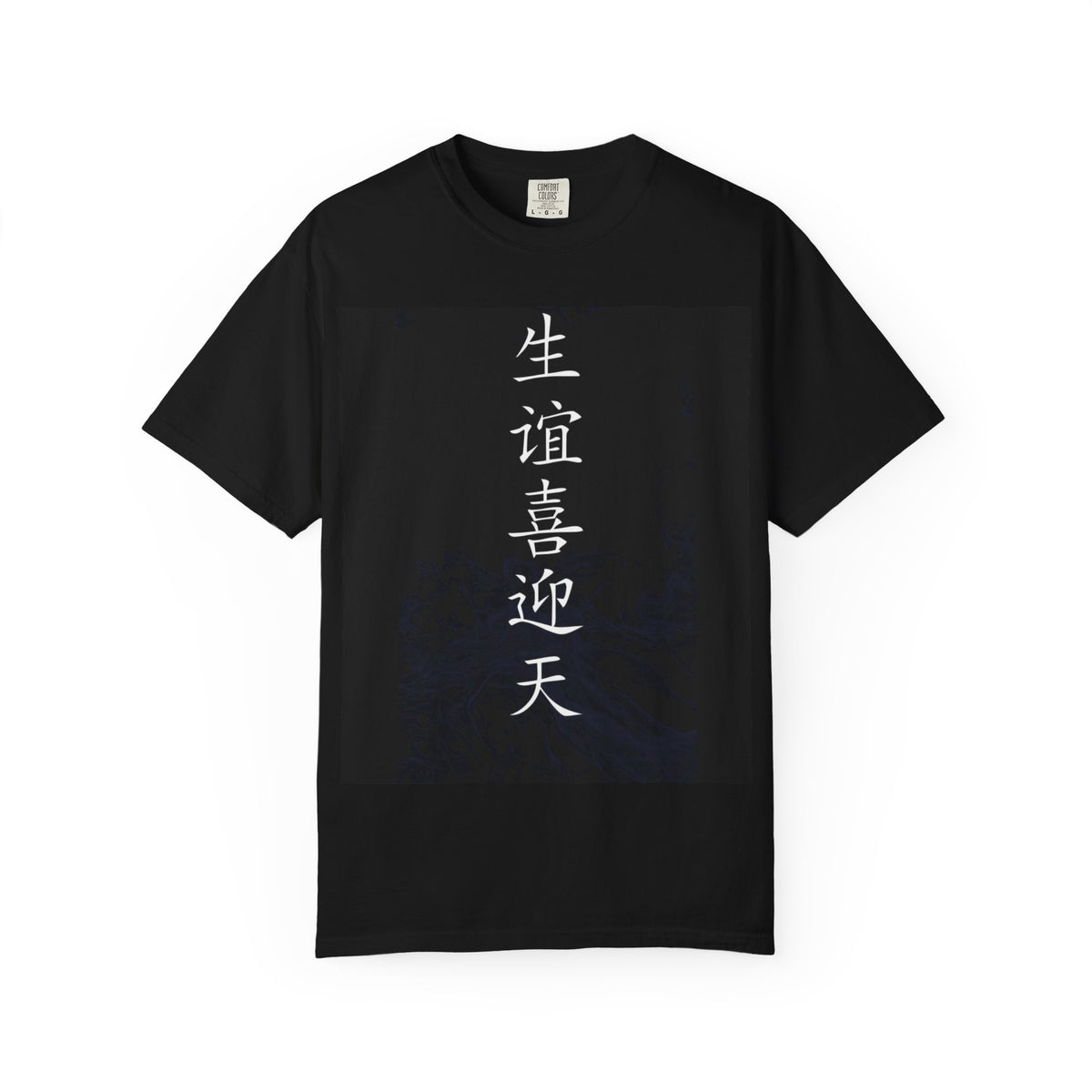 Unisex Chinese Calligraphy T-shirt, Casual Wear, Gift for Students, Cultural Apparel, Birthday Gift, Graphic Tee